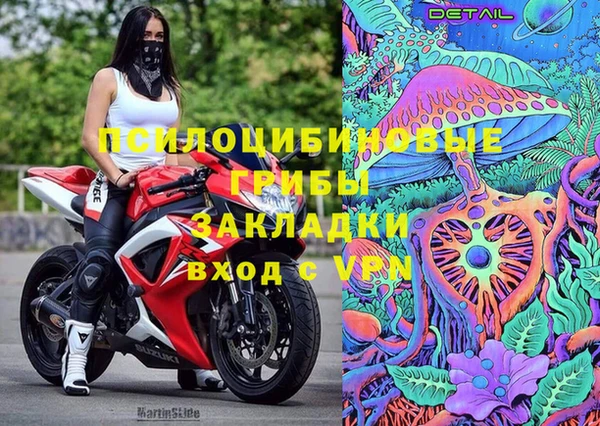 молекула духа Кодинск