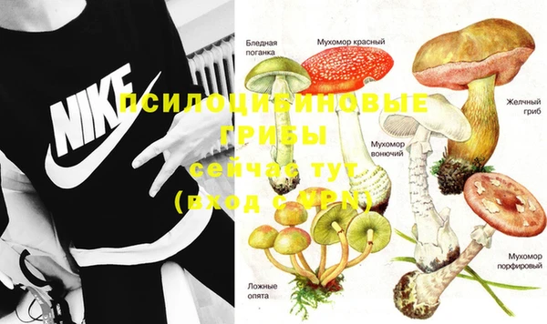 2c-b Козловка