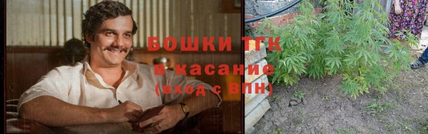 2c-b Козловка
