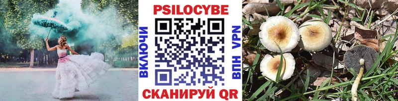 Галлюциногенные грибы Psilocybine cubensis  Волгореченск 